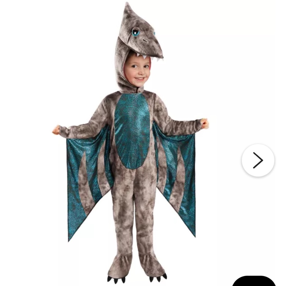 Toddler Pterodactyl costume